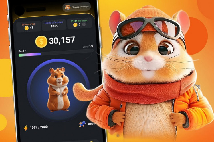 Hamster Combat Combo Harian 18 Juni 2024 Sekarang, Simak Harga Terbaru Sebelum Listing