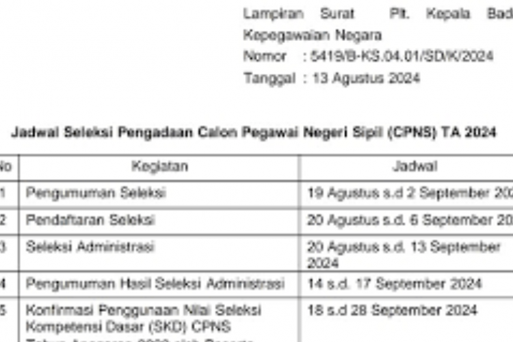 RESMI! Tanggal Pendaftaran CPNS 2024 Dibuka Bulan Agustus, Simak Tahapan Seleksi Di Sini