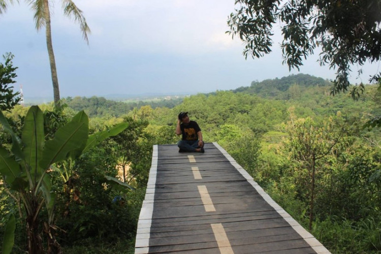 Surga Tersembunyi Peninggalan Belanda, Wisata di Pringsewu Lampung Jadi Primadona!