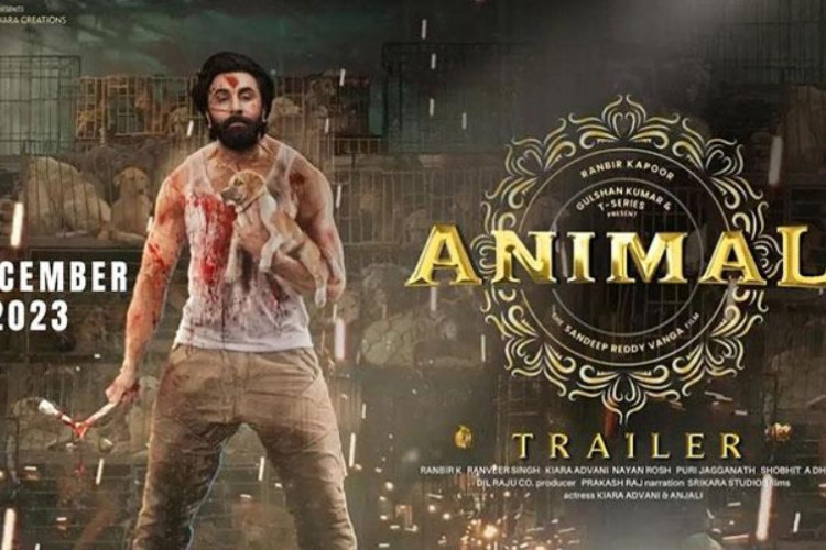 Sinopsis Film India Animals (2023) Segera Tayang di Bioskop! Ranbir Kapoor Menjadi Buronan Pembunuhan