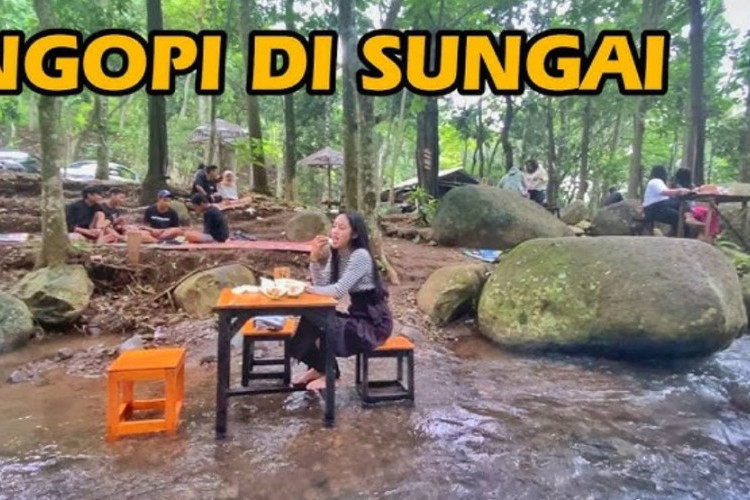 Berburu Kuliner di Angkringan Alas Dowo Nganjuk, Hidden Gem Kawula Muda untuk Nongkrong dan Berwisata!