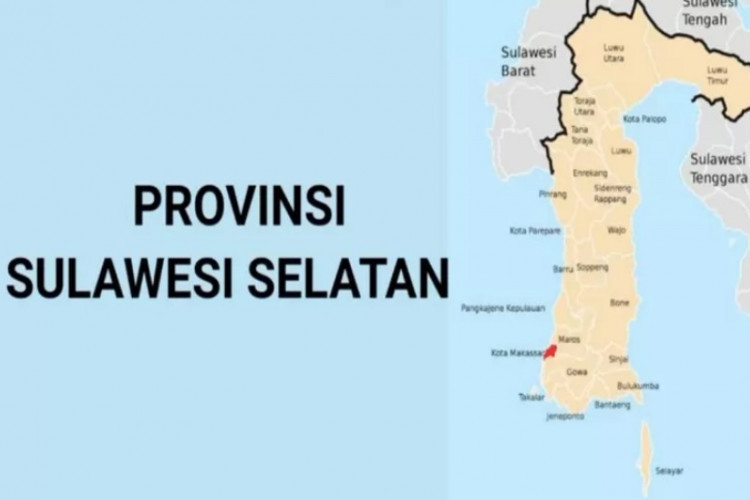 5 Kabupaten Penghasil Beras Terbesar di Sulsel, Siap Ikut Pemekaran Wilayah Provinsi Bugis Timur!