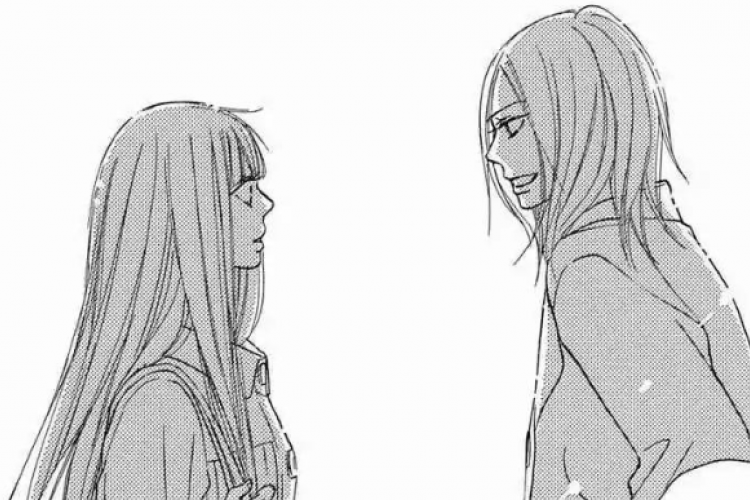 Baca MANGA Kimi ni Todoke Chapter 124 Indonesia Scan RAW, Pertemuan Sawako dan Chizu Chan, Dariku Untukmu