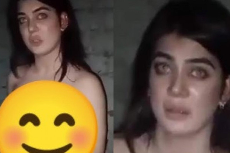 Video Dolphin Ayan Viral Tiktok Twitter X Hebohkan Warganet, Durasi Full Tanpa Sensor!