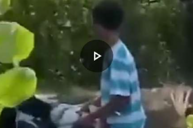 Viral! Video Sepasang Remaja Mesum di Pantai Ujung Pandaran, Polisi : Sedang Kami Selidiki