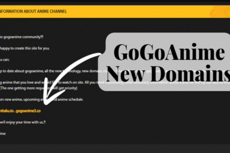 Gogoanime Domain Address July 2024, Still Active! You can watch as much as you want without ads