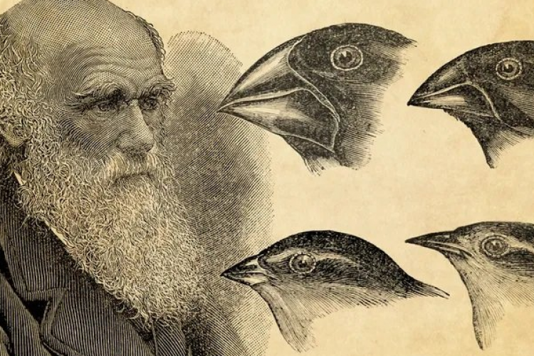 Leer El origen de las especies Capítulo Completo, Una novela sobre una vida animal única