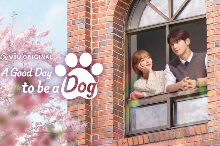 Nonton Drama A Good Day to Be a Dog (2023) Subtitle Indonesia, Kutukan Unik Hae Na yang Membuat Hidupnya Kesusahan!