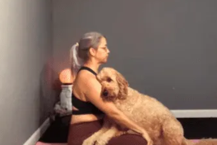 Enlance ver Increíble video de mujer y perro en Viva la Alegría Se Hizo Viral, video privado de onlyfans que se difunde