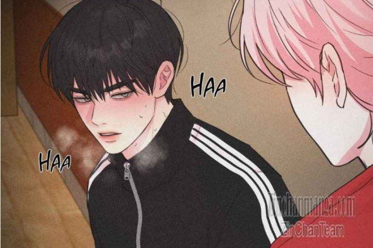 Read to Manhwa BL Love Remedy Chapter 7 English Scans, Dangerous! Chansol got caught again