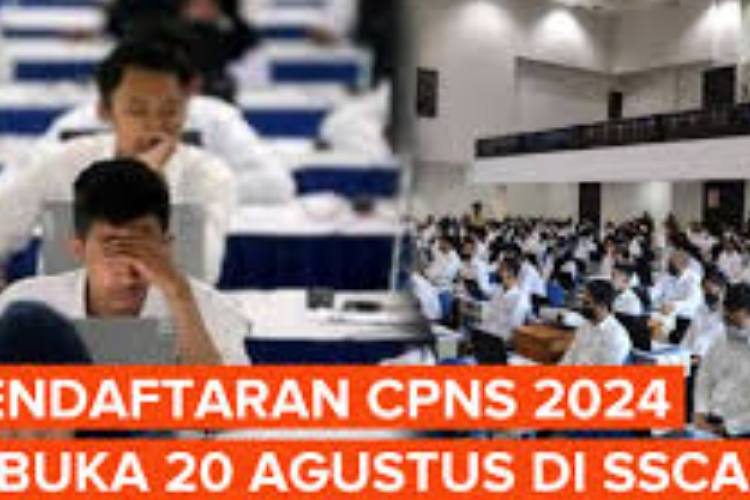 Cara Cek Formasi CPNS 2024 di Web sscasn.bkn.go.id dan Laman Kementerian/Lembaga, Lengkap dengan Jadwal Seleksi dan Tahapan-Tahapannya