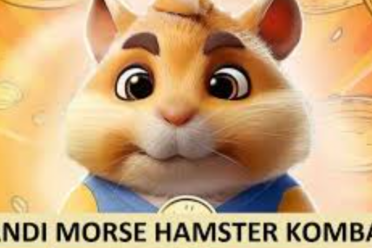 Bocoran Kode Morse Hamster Kombat Hari Ini 11 September 2024, Wajib Tau! Langsung Cair 5 Juta Koin Masuk Dompet