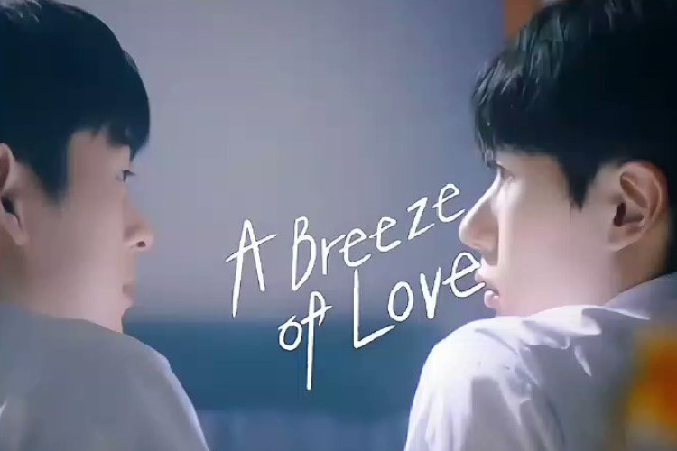 Link Nonton Drama BL Korea A Breeze of Love (2023) Full Episode 1-8 Sub Indo GRATIS, Hubungan Backsreet yang Bikin Baper 
