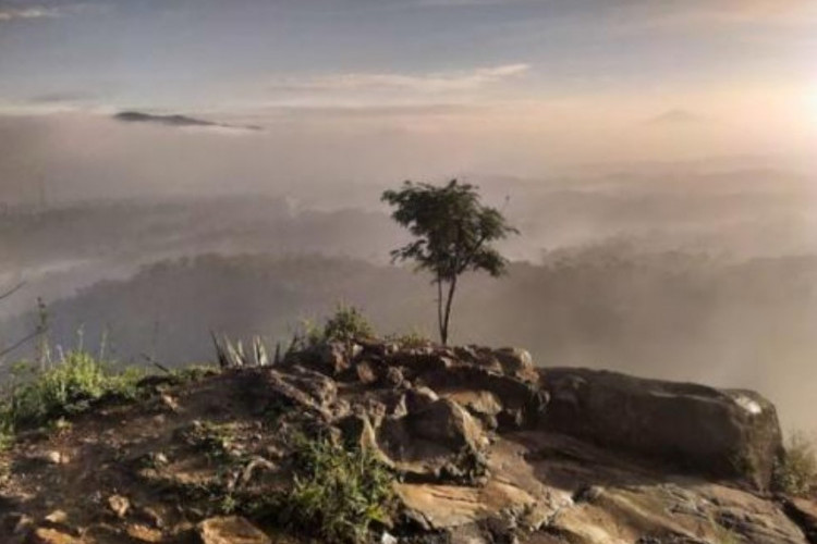 Asal Usul Sejarah Nama Jatinangor, Ternyata Diambil dari Masa Penjajahan Belanda!