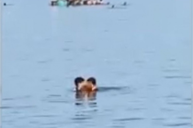 Viral! Pasangan Sejoli Berbuat Mesum di Pantai Mattirotasi Parepare, Videonya Tersebar di Media Sosial