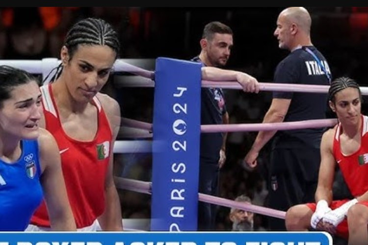 Video Imane Khalef Vs Angela Carini Female Boxer That Asked to Fight Biologycal Male in Paris Olympics