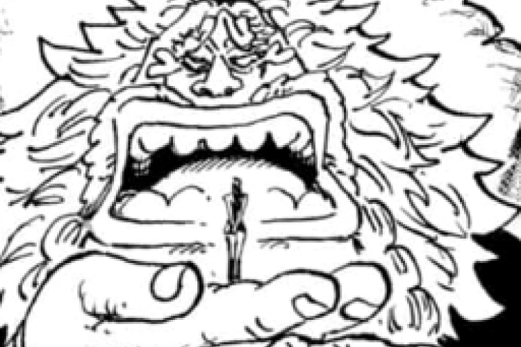 One Piece Manga Capítulo 1135 en Español Scan RAW, La felicidad de la tripulación mugiwara