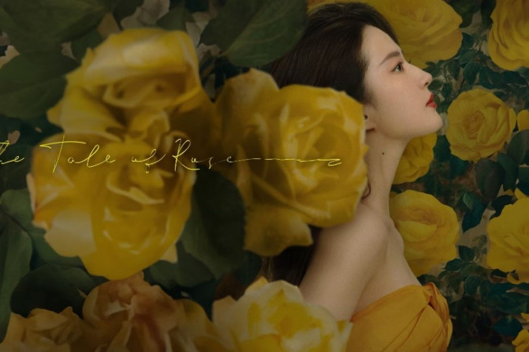 Sinopsis Drama China The Tale of Rose (2024) Kisah Pertemuan Cinta Sejati Huang Yi Mei!