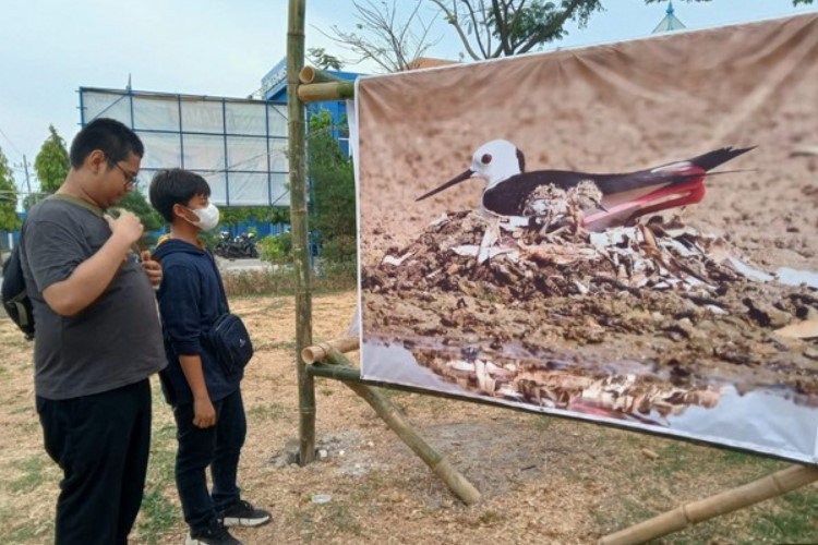 Viral Stikosa AWS Photo Week 2023 Usung Tema Indonesia Pro Lingkungan Digelar Hingga 10 November 2023 