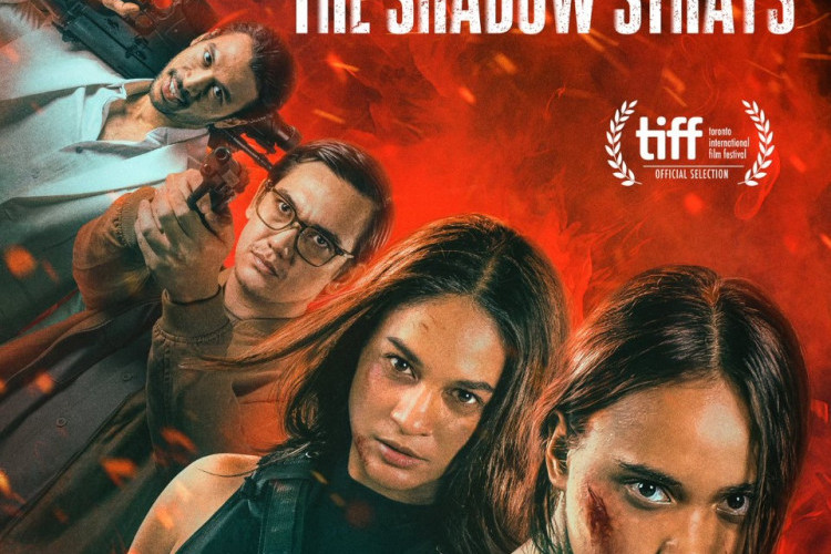 Sinopsis The Shadow Strays (2024), Trending 85 Negara! Film Aksi yang Sukses Guncangkan Rekor di Netflix