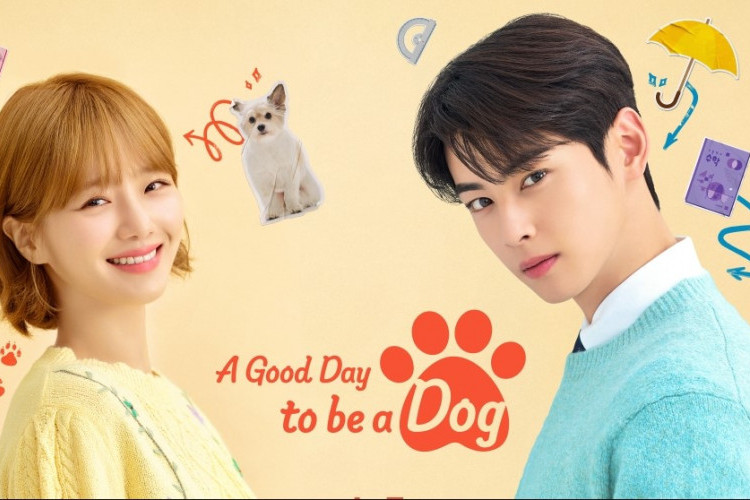 Kutukan Keluarga yang Turun Temurun! Sinopsis Drama Korea A Good Day to Be a Dog (2023) Kisah Hae Na yang Berjuang dengan Kehidupannya