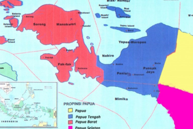 Isu Pemekaran Wilayah! Ini 8 Daerah yang Akan Masuk Provinsi Papua Selatan, Diharapkan Untuk Percepat Pembangunan