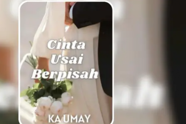 FREE Baca Novel Cinta Usai Berpisah Full PDF, Nangis! Perjuangan Istri Pertahankan Keutuhan Rumah Tangga