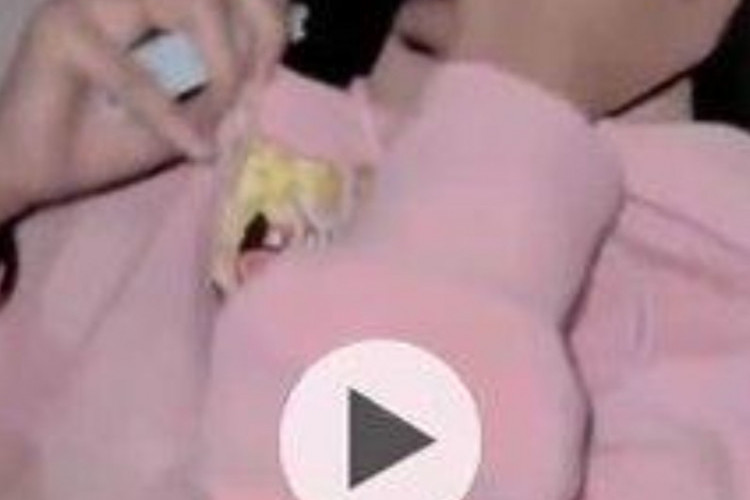 Download Link Video Viral Hoodie Pink Sweet Dina Full HD No Sensor, Langsung Jadi Buruan Warganet