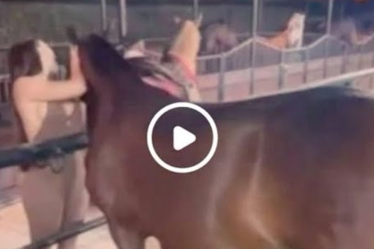 Aida Victoria Merlano horse Filtró Video Completo En Línea Enlace Del Clip, ¡viral en internet!