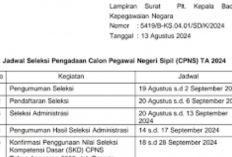 RESMI! Tanggal Pendaftaran CPNS 2024 Dibuka Bulan Agustus, Simak Tahapan Seleksi Di Sini