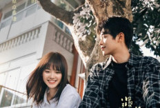 Link to Watch The Best Day of My Life (2024) Episodes 7-8 English Subtitle, Tonight! The Romance Begins