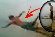 Diving Face Split Incident 2009 A Shocking Viral Tragedy, Check the Chronology!