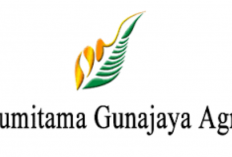 SCAM! Bumitama Gunajaya Agro Penipuan, Benarkah Terbukti Aman? Cek Fakta Sebelum Rekomendasikan ke Teman