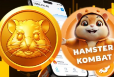 Apakah Hamster Kombat Terbukti Membayar? Aplikasi Penghasil Uang Viral Telegram