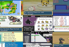 Pokemon Radical Red Cheats and Full Codes for August 2024, Guides for New Players!