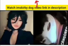 Skirby Dog Video Link Full Duration Video Viral on Twitter, Many Searches Make Wrong Focus!