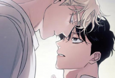 Lire Manhwa Rose and Champagne Chapitre Complet en Français, Le genre BL qui a une romance douce