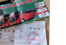 Berapa Harga Tiket Bus Gunung Harta Double Decker 2025? Lengkap Dengan Review Singkat