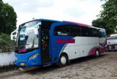 Jadwal Bus Semarang Purwokerto Terbaru 2025, Rekomendasi PO Terbaik Mulai Kelas Ekonomi, Patas dan Eksekutif