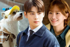 Lanjutan Drama A Good Day to Be a Dog (2023) Episode 8 Bahasa Indonesia, Seo Won Mengetahui Sosok Hae Na Sebenarnya