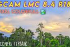 Download GCAM LMC 8.4 Config iPhone Terbaik Agustus 2024, Bening Banget! Hasilkan Foto Kualitas Tinggi