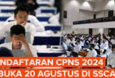 Cara Cek Formasi CPNS 2024 di Web sscasn.bkn.go.id dan Laman Kementerian/Lembaga, Lengkap dengan Jadwal Seleksi dan Tahapan-Tahapannya