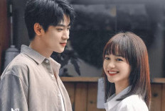 Watch of Drama The Best Day of My Life (2024) Full Episodes 1-14 English Subtitle, A Heartwarming Love Affair!