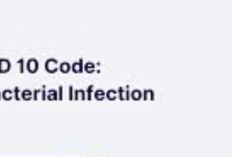 Arti Kode ICD 10 Bacterial Infection yang Patut Diwaspadai Apabila Muncul Gejala, Berikut Penjelasannya