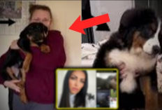 Stephanie Watson Dog Video Link Viral on Social Media, Generating Controversy Here's the Original Content!