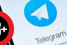 Kumpulan Link Grup Telegram Video Dewasa 18+ Viral Terbaru 2024, Bocil Dilarang Gabung! Tanpa Sensor Anti Ribet