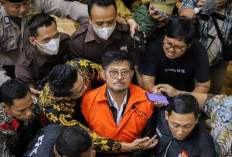 Arti Sallo Mako Jago Viral yang Diucapkan Dahlan Iskan Untuk Menteri Pertanian SYL yang Dituntut 12 Tahun Penjara