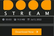 Download Video Doodstream Full HD Terbaru 2024, Mudah Tanpa VPN dan Banyak Koleksi Pilihannya!