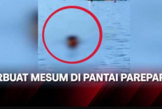 Link Video Mesum Duo Sejoli di Pantai Mattirotasi Parepare Durasi Full, Isinya Bikin Geleng-geleng Kepala!