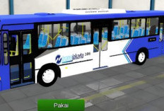 Link Download Livery BussID Transjakarta 2024 Gratis, Discovery dan Vintage Keren Banget!